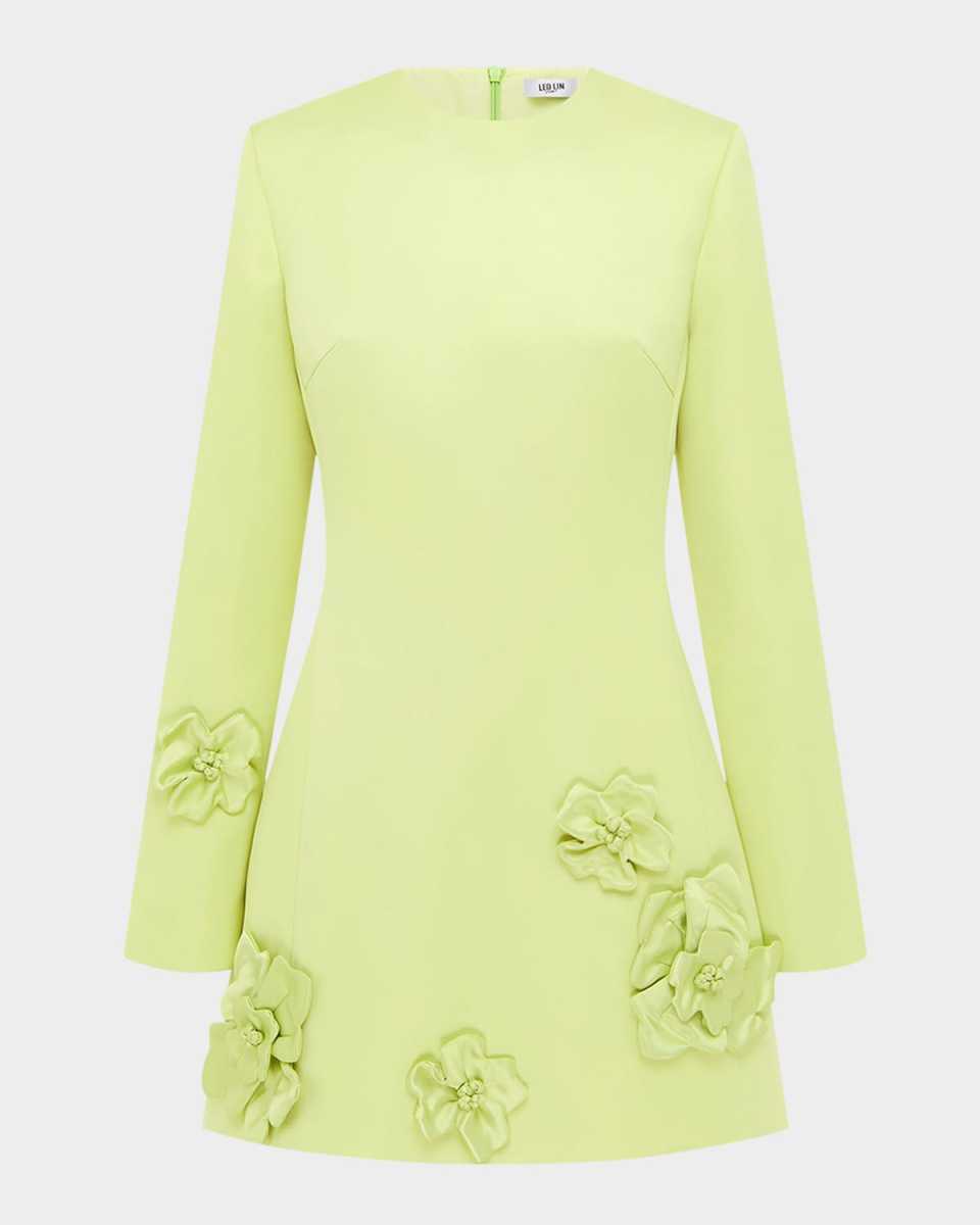 Aliza Floral Applique Fit-&-Flare Mini Dress